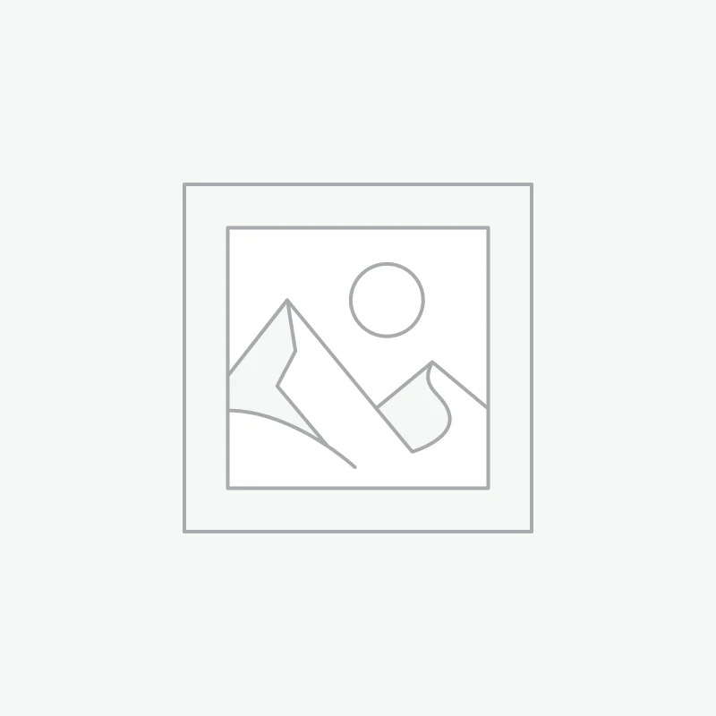 Rexton CROS BiCore R-Li